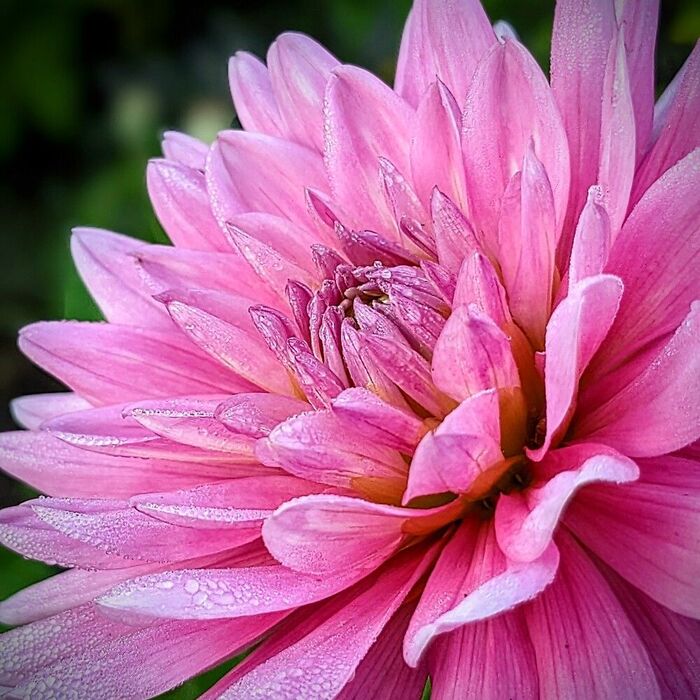 ��� �����. Pro life