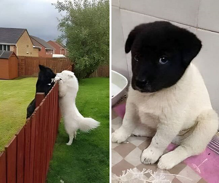 ��� ��������� "����������", ������ �� ��� ���...