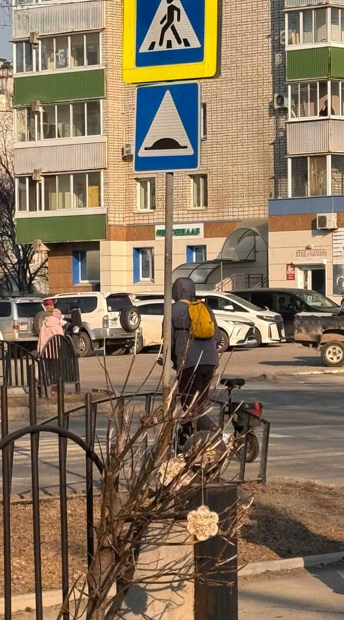 ������ ������� 1-�� ������