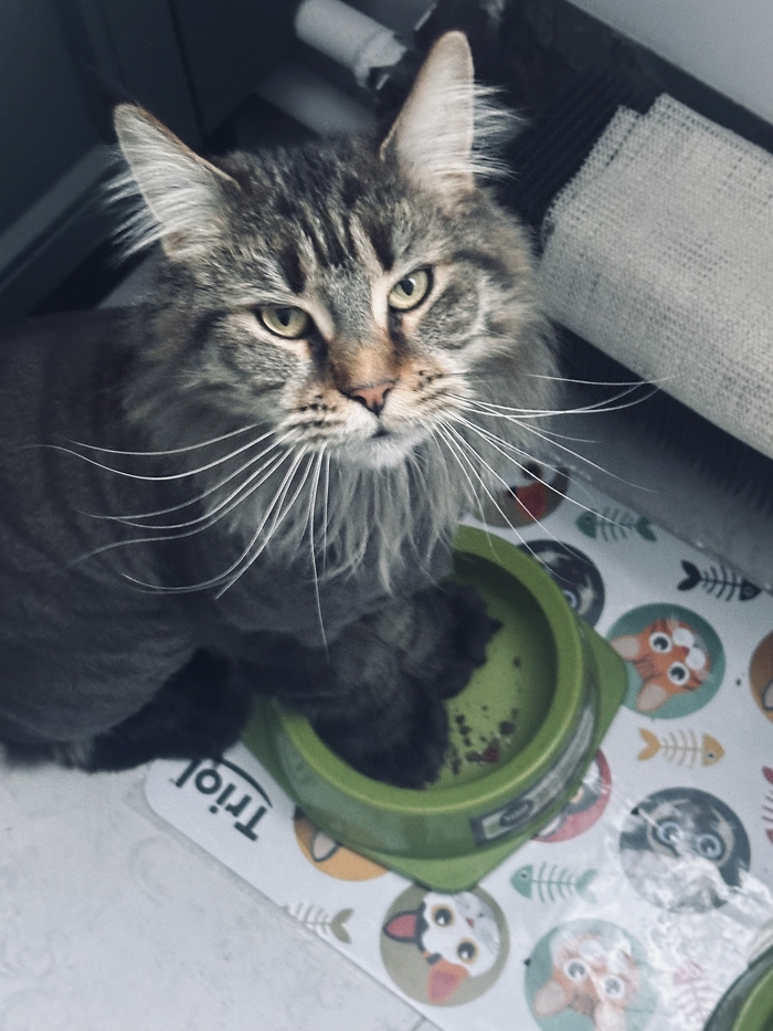 ���� � ������ � ������ ������� ��������