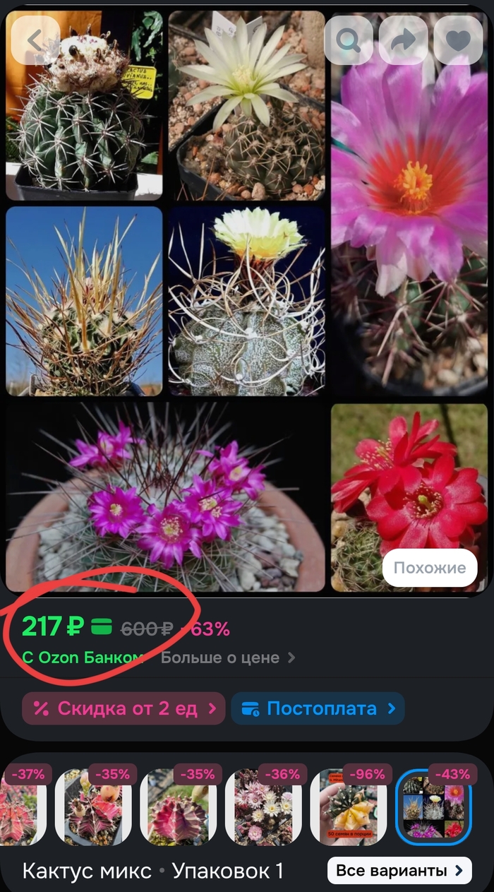 ������ �� ������ ��������