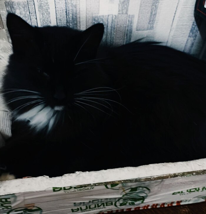 ��� �  ���������������