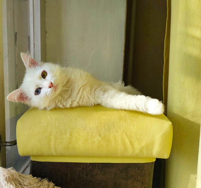 ������ ����� ����������