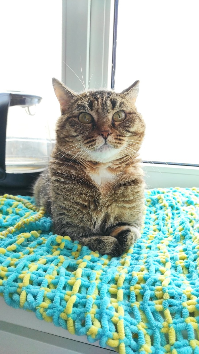 �� 2021���� ��� �����. ���� � ���� ��� 6� ���