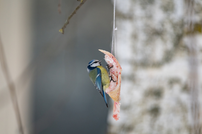 ��������� �� ����