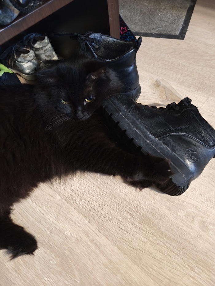 ������...