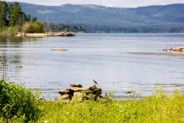 ����������� �������������. ����: ����� �����������