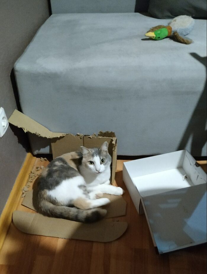 ����� �� �������� � ��������� ��������...