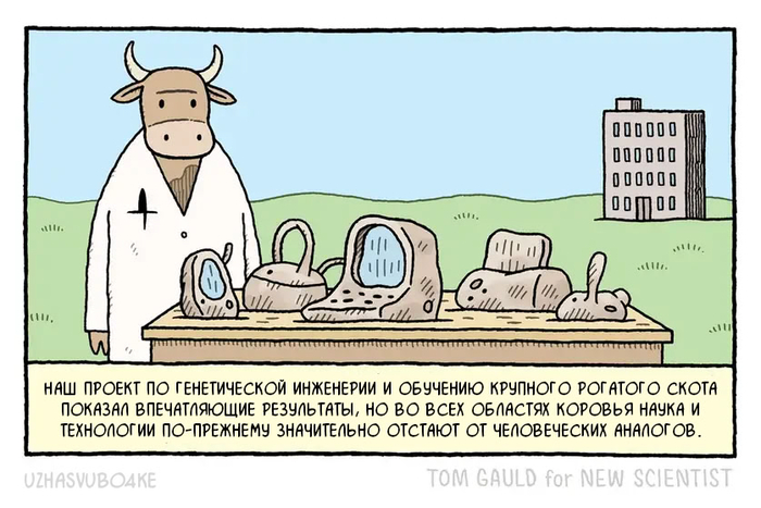 <a href="https://pikabu.ru/story/u_korov_vyiyavili_sposobnost_polzovatsya_instrumentami_13795993?u=https%3A%2F%2Fwww.newscientist.com%2Farticle%2F2463949-tom-gauld-on-the-latest-in-cow-science-and-technology%2F&t=%D0%9E%D1%80%D0%B8%D0%B3%D0%B8%D0%BD%D0%B0%D0%BB&h=9ae83bb494ca9ec6503caaac24b44ad842673972" title="https://www.newscientist.com/article/2463949-tom-gauld-on-the-latest-in-cow-science-and-technology/" target="_blank" rel="nofollow noopener">��������</a> 