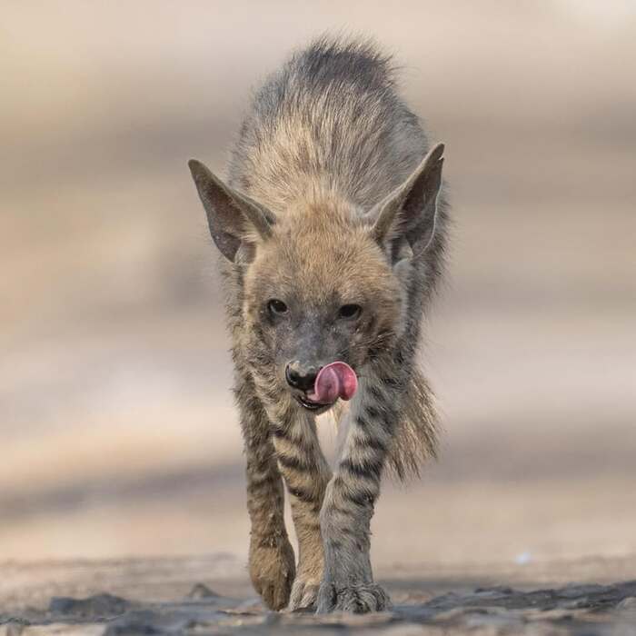 ��������� ����� ����������� ������������ � ���������