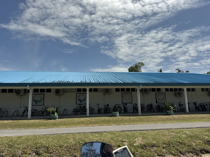 ������ �����������