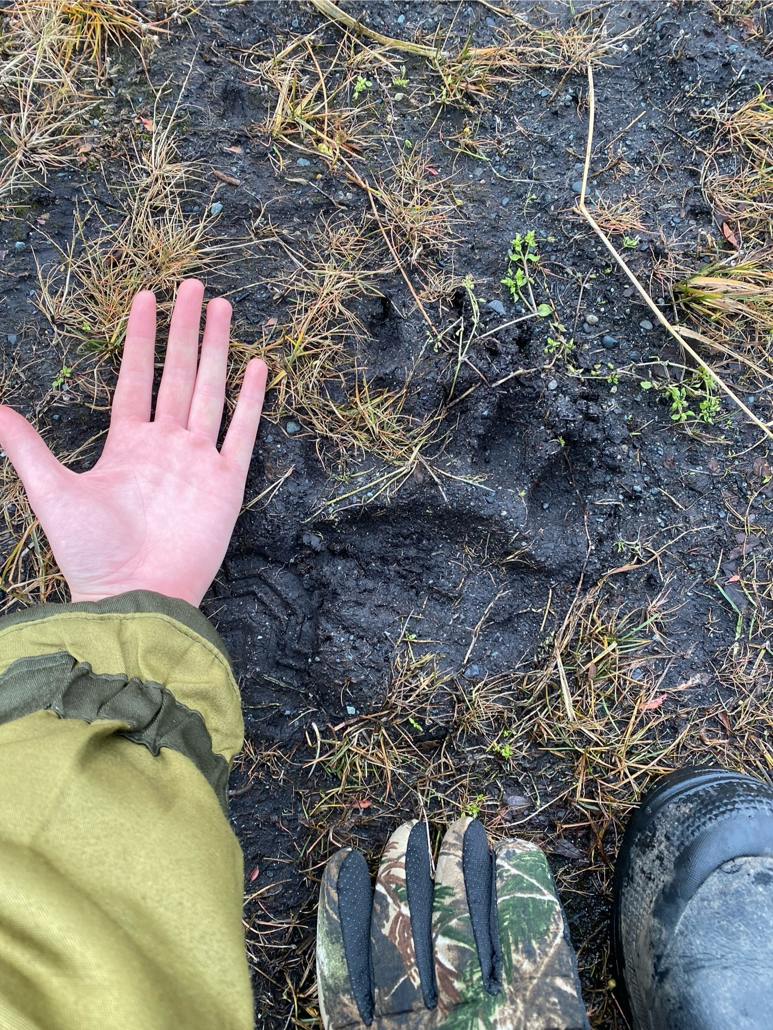 A Meteorologist's Notes: How My Husband Was Almost Eaten by a Bear - My, Weather station, Headland, Meteorologists, Magadan Region, The Bears, Sea of ??Okhotsk, Magadan, wildlife, Longpost