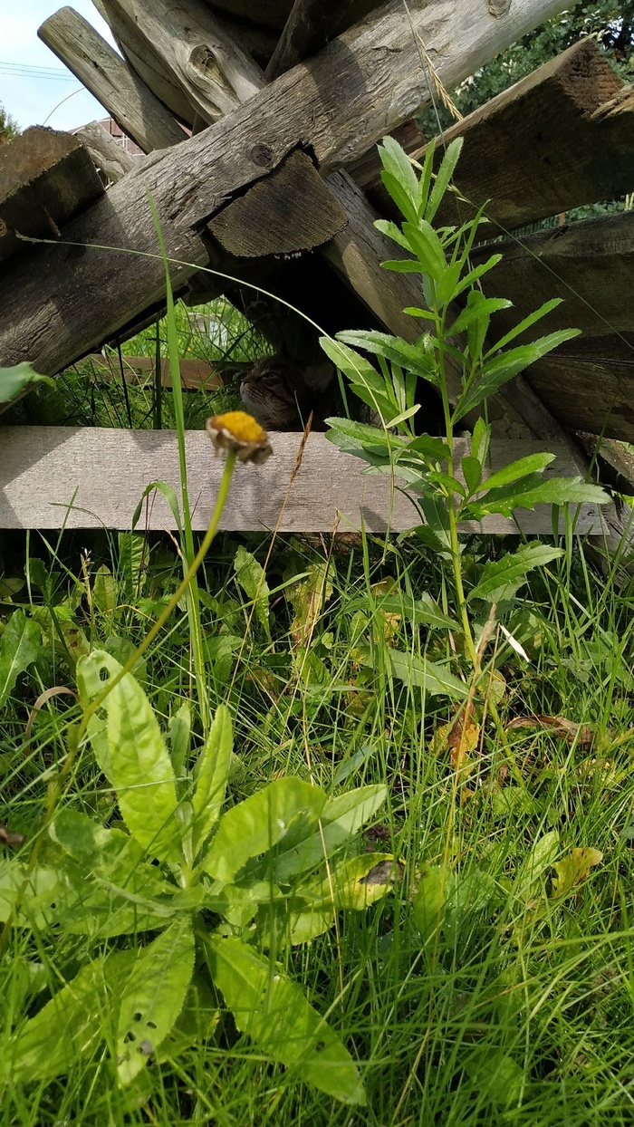 ��, ��� �� ��� ��� �������� � ���������