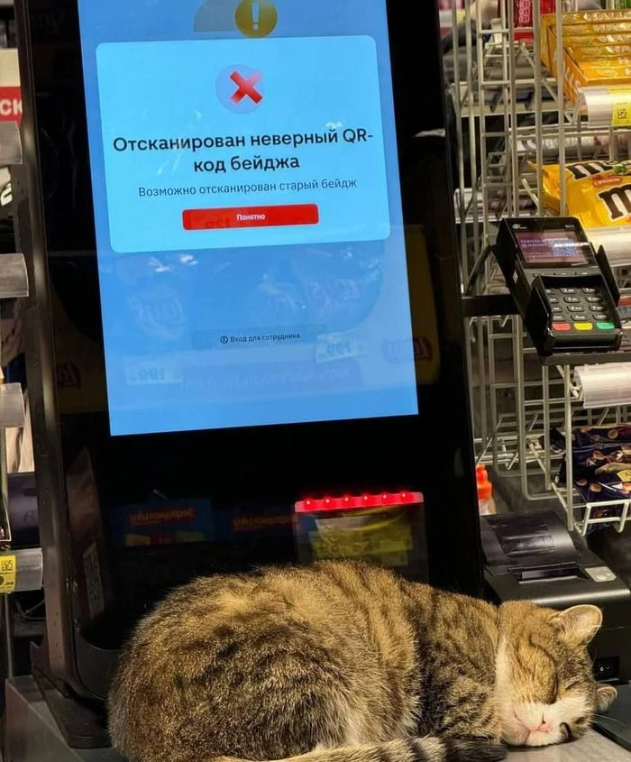 ��, ���� ����� ������