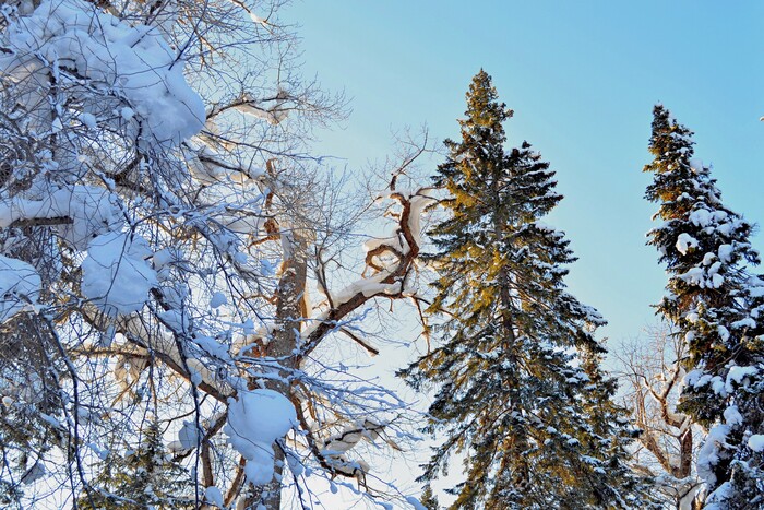 ����� �� �������, ����������� �. �������