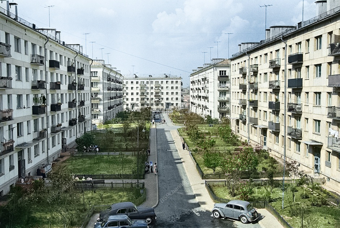 ��������: ���� ����������