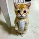������ ������������ p.qa