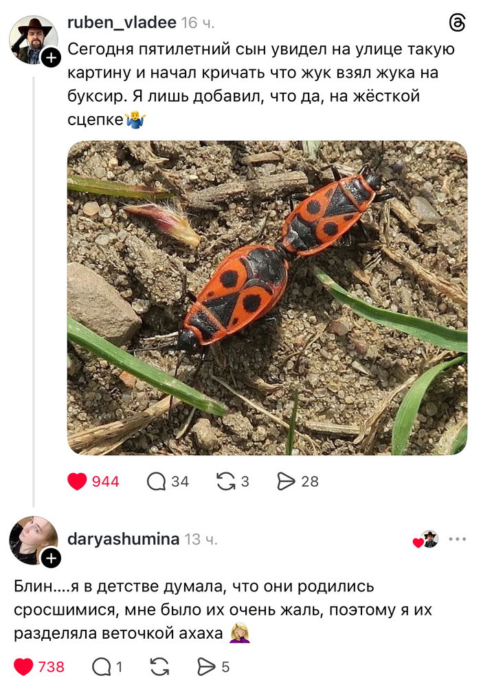 Ну хоть собак не видел буксирующих)