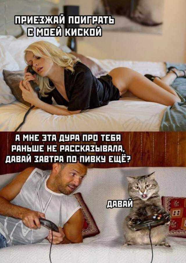 Когда от души поиграл с киской)