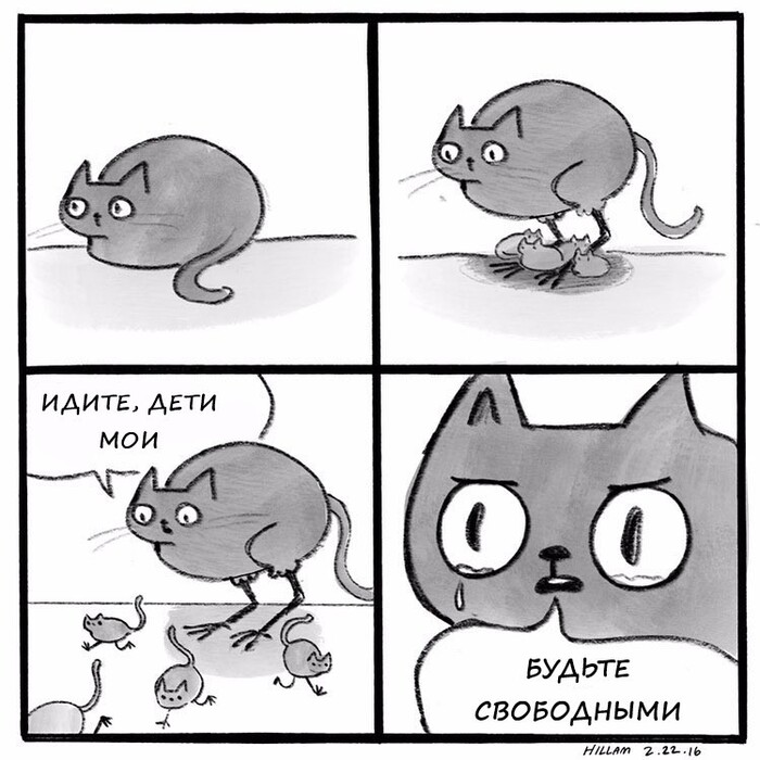 Наседкошь