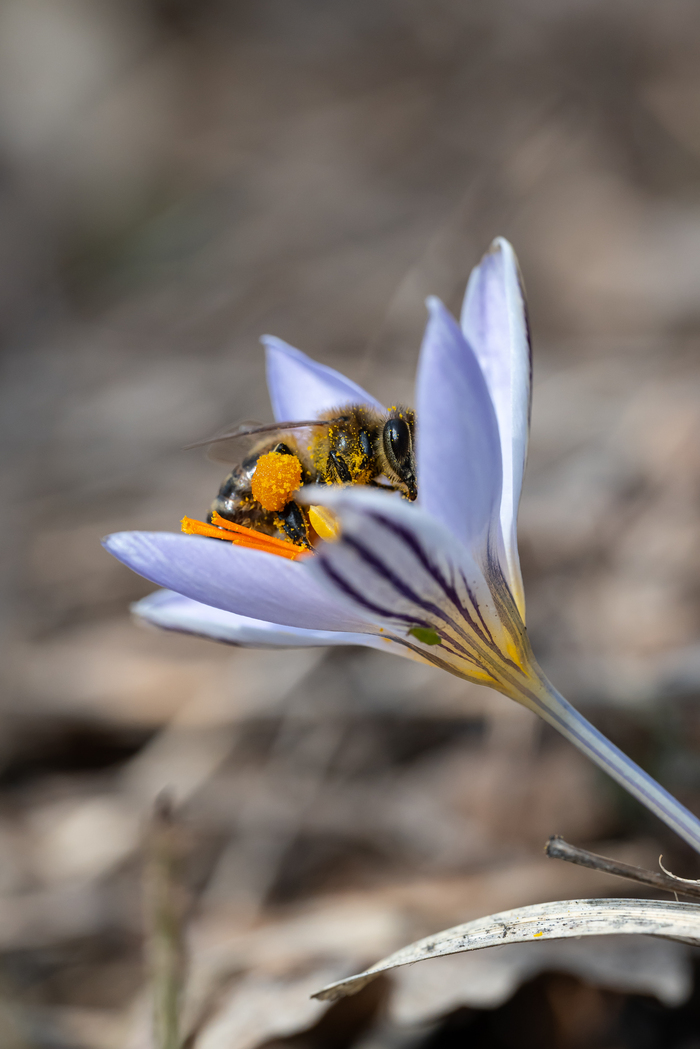 ������� ������ ������� , ������� ������� , �������� � ������ . ������ �����, � ����� ������ ������, ���� ����� ������� ! 