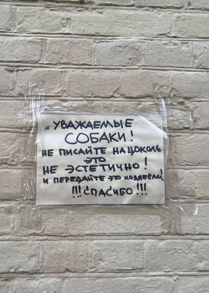 ������ �������� ���������� � ������� ������� � ��������