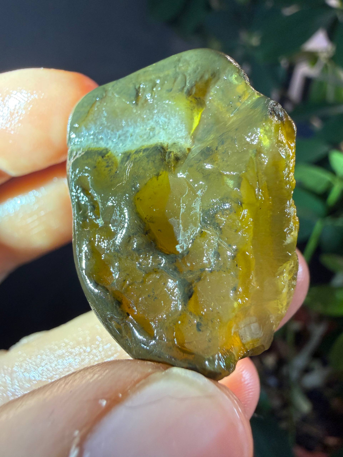 ��������� ��������