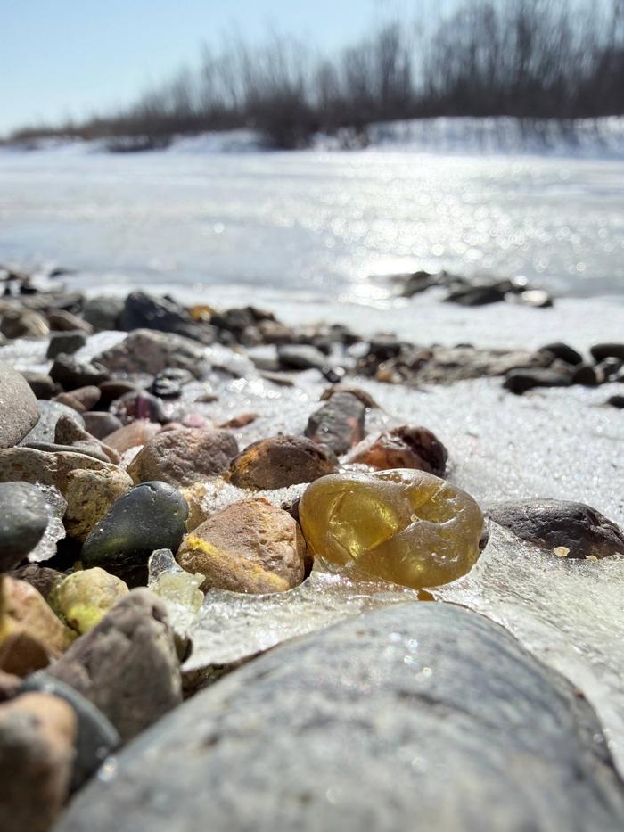 ������ ���������