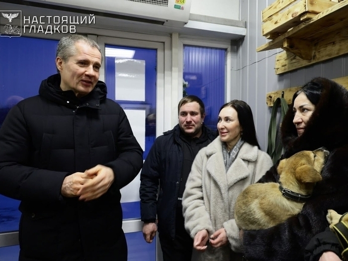 Белгородский губернатор выступил против отстрела бездомных собак