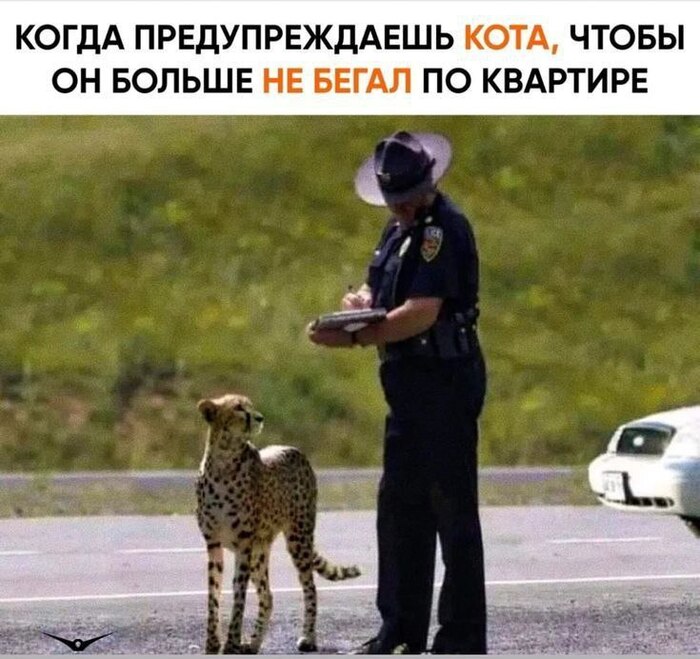 Понял, принял… и побежал еще быстрее