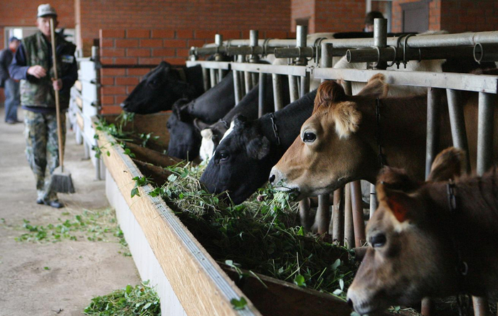 � ������������� ������� ����������� ����������� �� ������������ ����