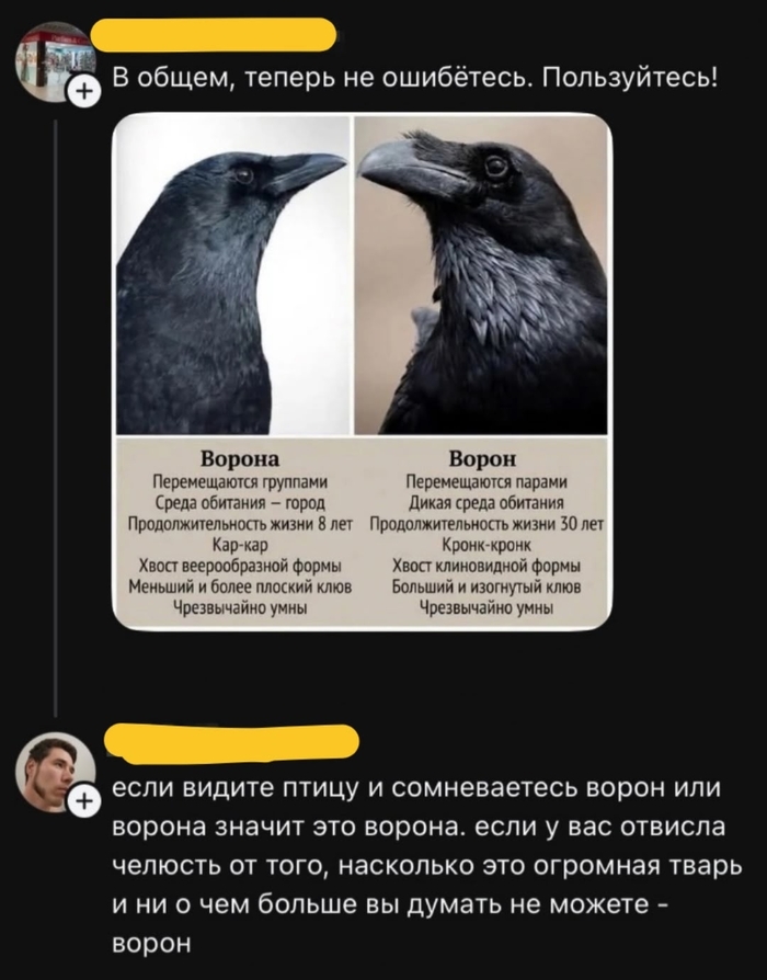 И никаких сомнений