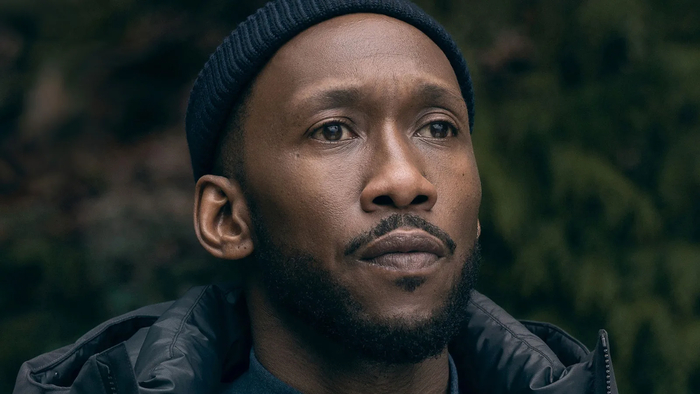 ������� �� ������� �������