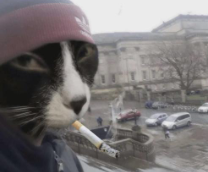 � ����������