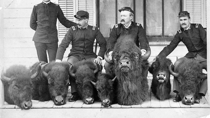 ���������� � �� ������