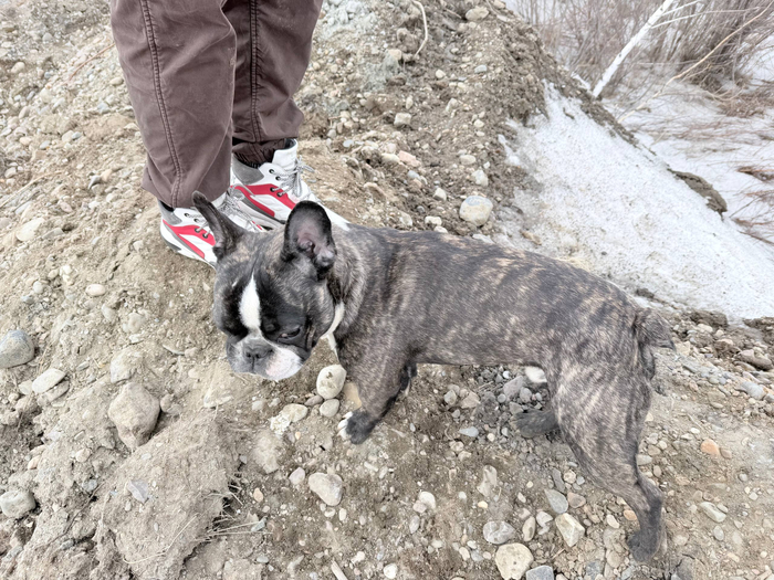 ����������� �����