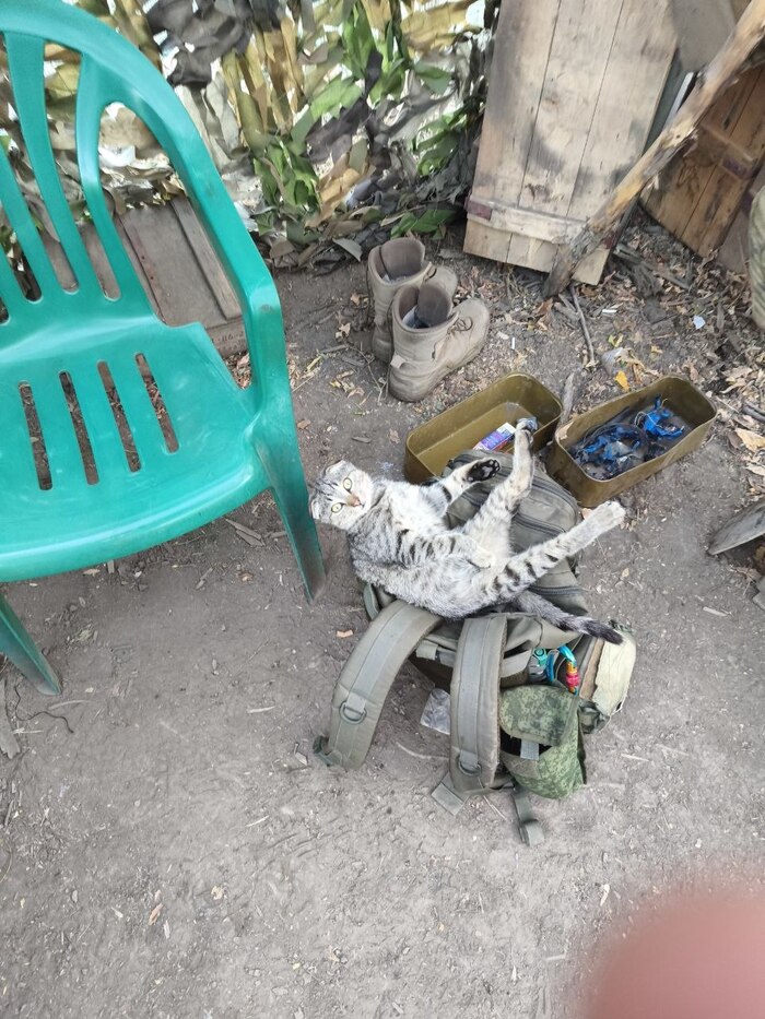 ���������� ��� ��� ����������� ������. ������ �������. � ������ ������� ������ ����������� ����� ����. �� ��������� ������ �� ��������� ��������, � �� ���� ������ �� ������ ������� ������ ���� ����� � ����� �������. 