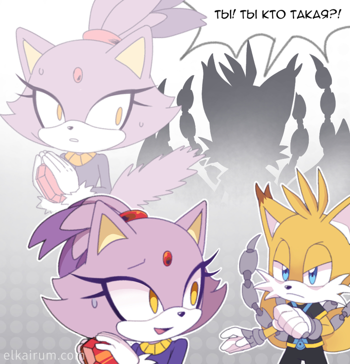 Blaze the Cat Tails Nine Кошка Блейз Тейлз Найн