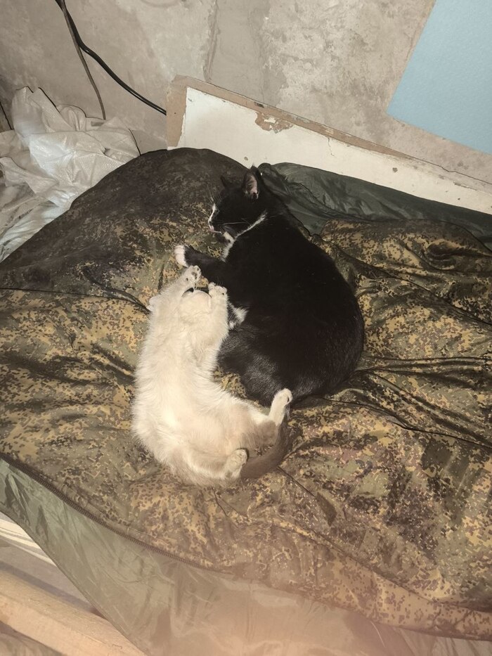 ��� �� ����. ��� ��� ����� �������