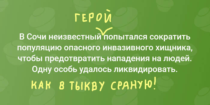 ����� ������ � �� ���� ����������� ���������� ��������� ����� �� ���������