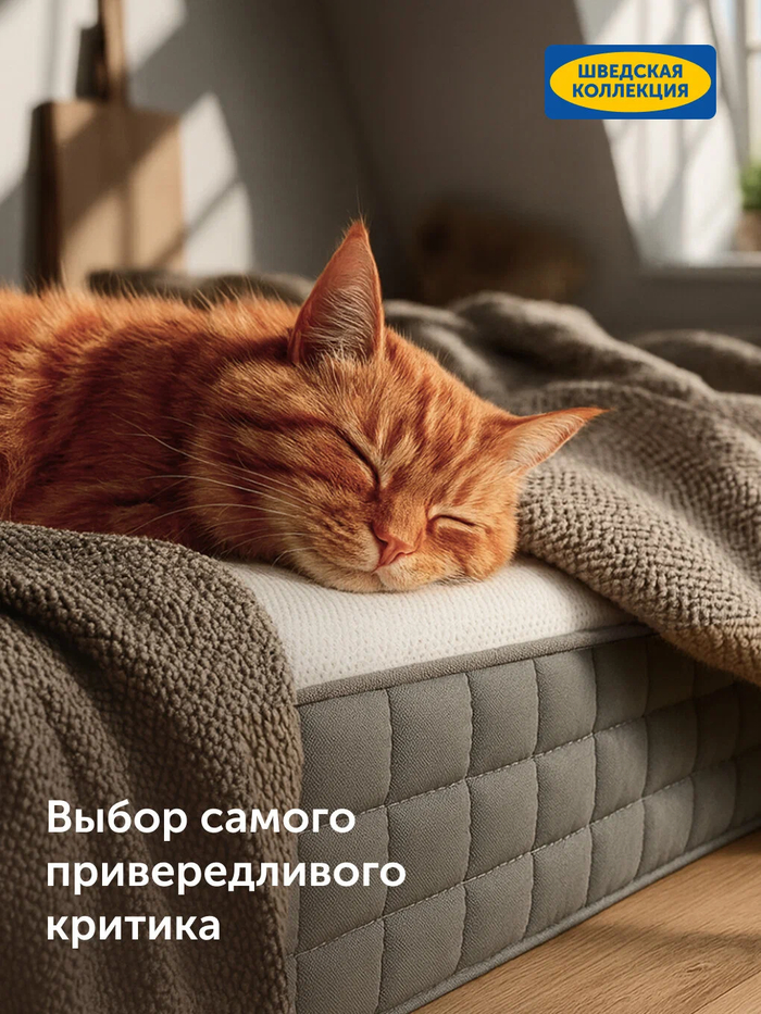 ����� �������������� ������ 160�200 ����� �������: ���-10 ������� ��� �����
