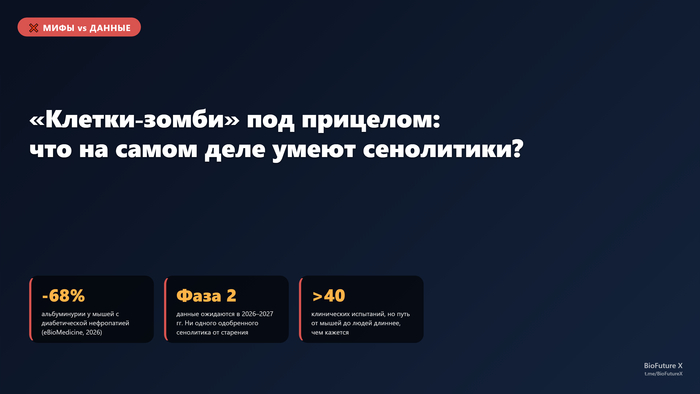 «Клетки-зомби»: почему сенолитики продают как лекарство от старости, а наука пока осторожничает