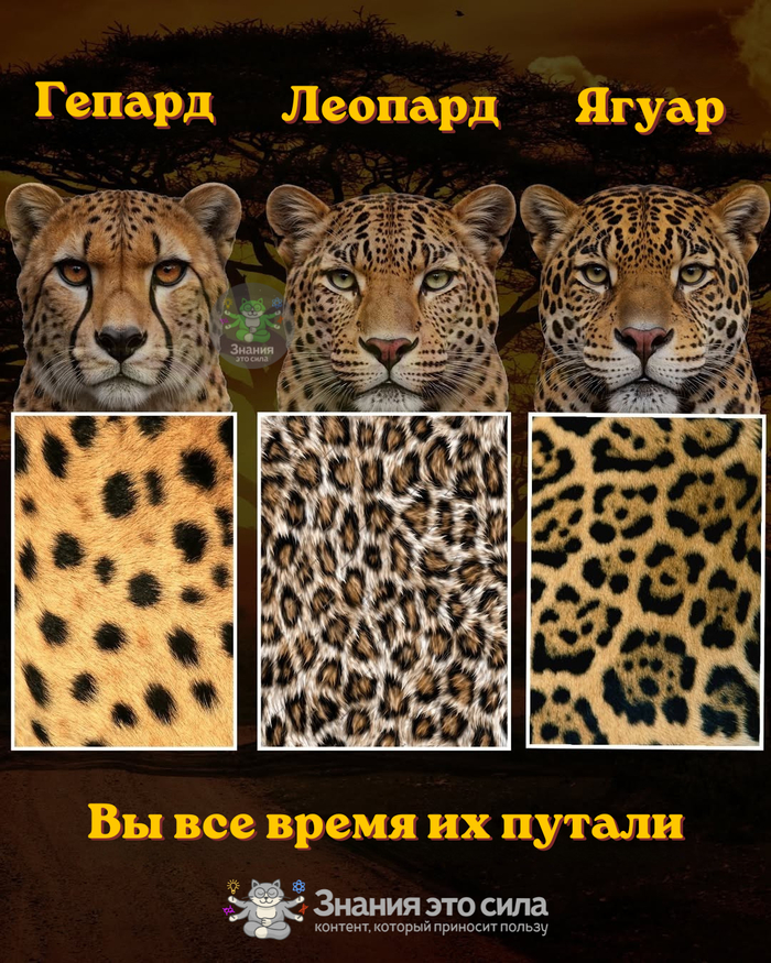 ������ �� �� ������ �� ������