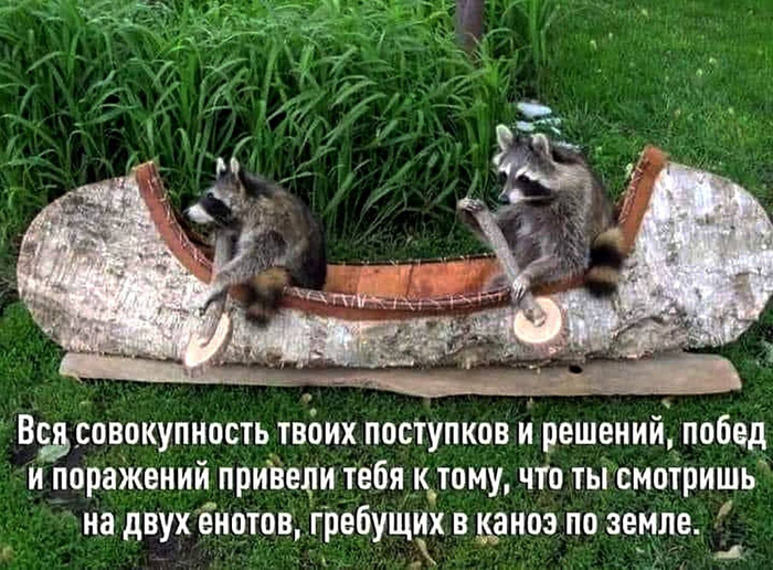 ������� ���������...