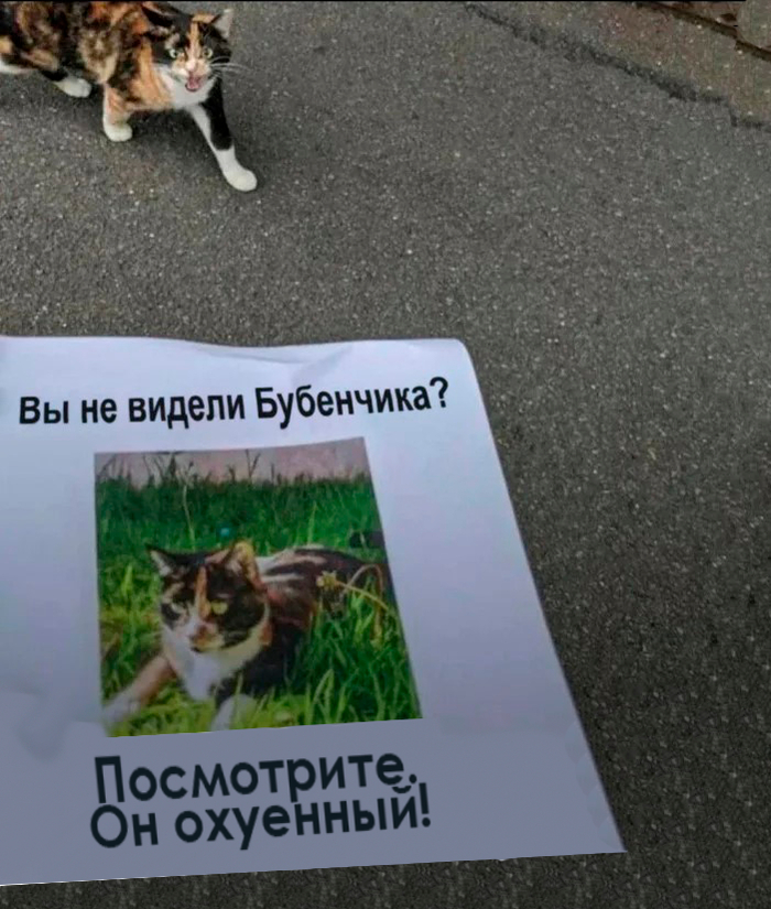 ����� �� ���� ������ ����� �������