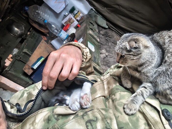 "��� ������, ��� ������ ����, ���� �� ���������, ���� � ������� ����� �� ����!" (������)