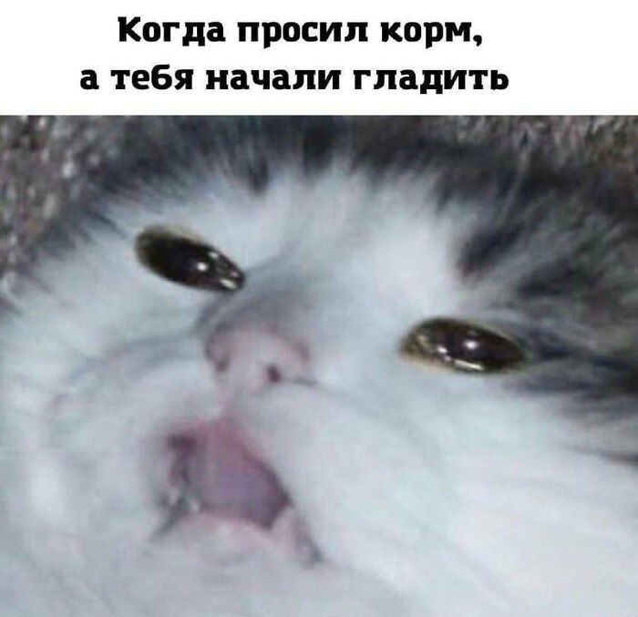�������...