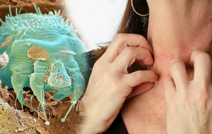 �� ������� ���� ��������� ����. ���������� ������