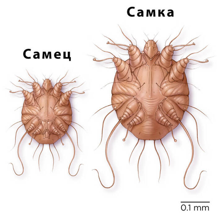 �� ������� ���� ��������� ����. ���������� ������