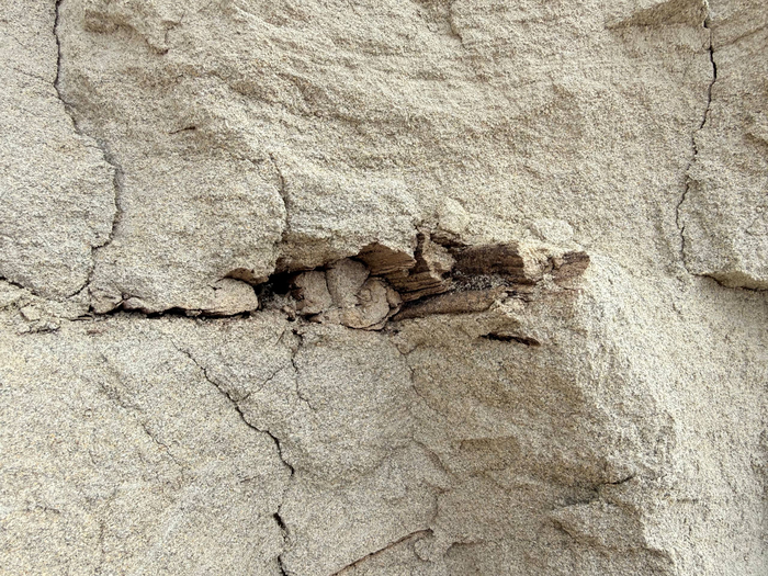 ���������� ������